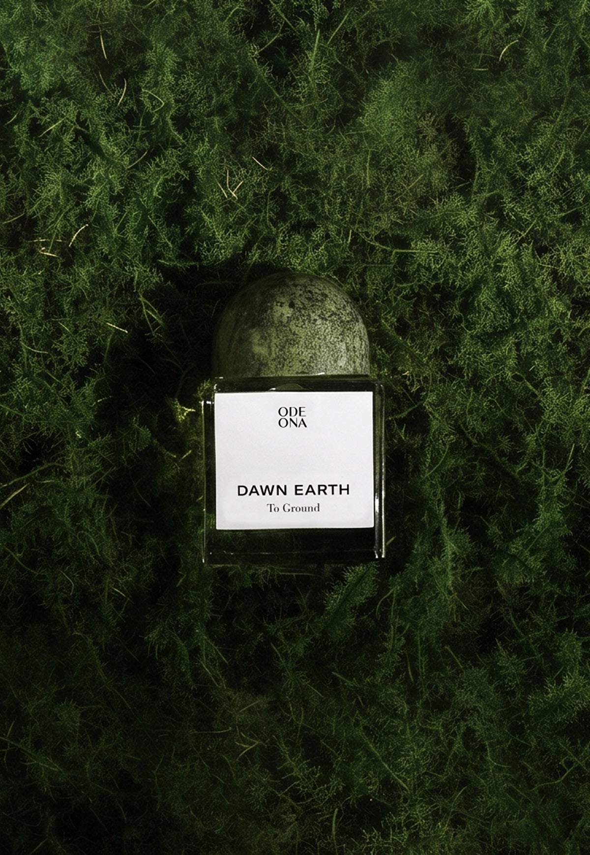 DAWN EARTH